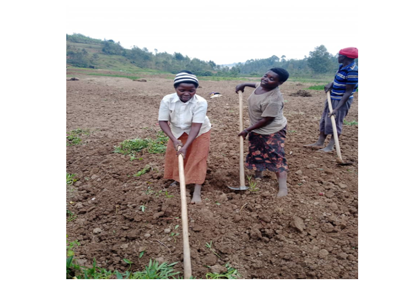 Rwanda: Most of the Women in southern province commits toward agriculture and development