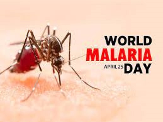 Rwanda celebrates the World Malaria Day