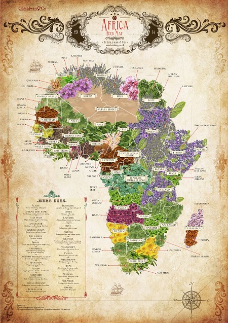 AFRICA Herbs to the WORLD: This beautiful and detailed map shows every herb grows native