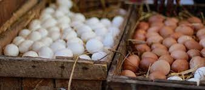 GASABO: Highly cost at the markets as barriers, Parents canâ€™t apply One Egg Per Child